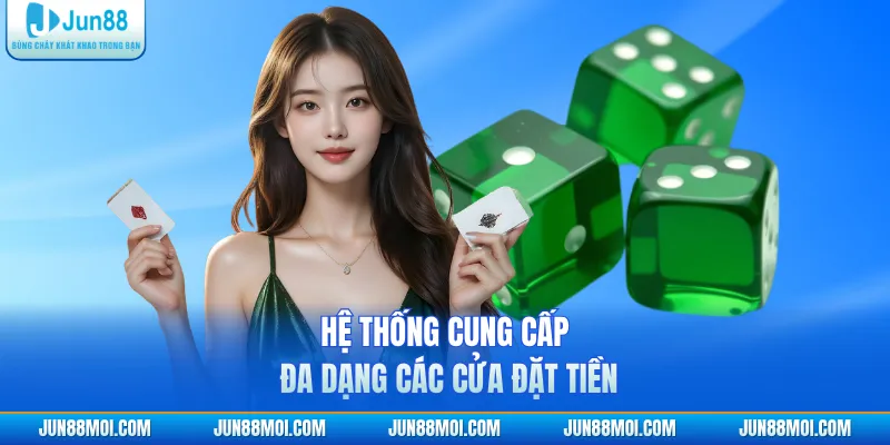 Hệ thống cung cấp đa dạng các cửa đặt tiền