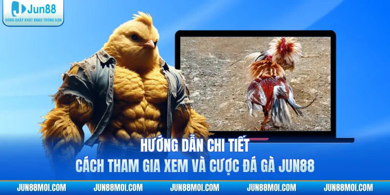 Hướng dẫn chi tiết cách tham gia xem và cược đá gà JUN88