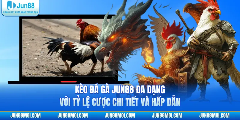 Kèo đá gà JUN88 đa dạng với tỷ lệ cược chi tiết và hấp dẫn